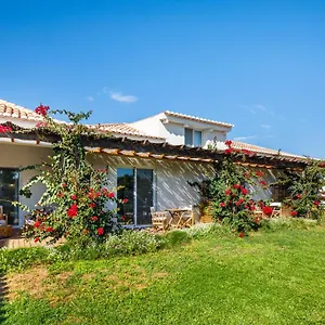 Abacatus Vakantiehuis Tavira
